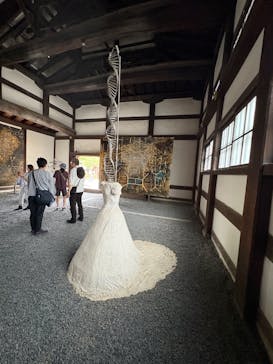 元離宮二条城に投稿された画像（2025/6/9）