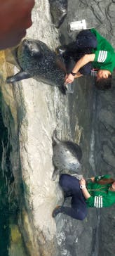 アクアワールド茨城県大洗水族館に投稿された画像（2025/6/10）
