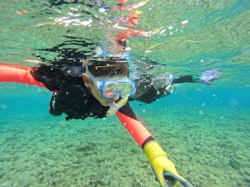 武藤潜水に投稿された画像（2025/6/10）