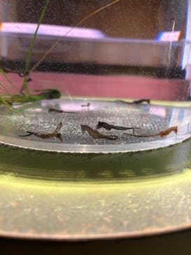 仙台うみの杜水族館に投稿された画像（2025/6/10）