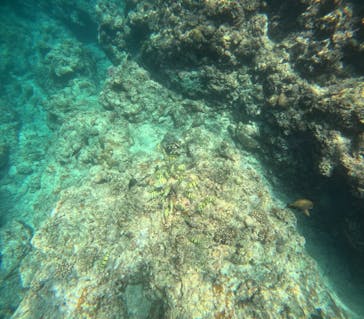 沖縄マリンサービス碧に投稿された画像（2025/6/10）