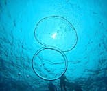 青の洞窟専門店　沖縄ダイビングショップ和に投稿された画像（2025/6/10）