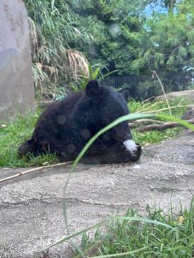 沖縄こどもの国に投稿された画像（2025/6/10）