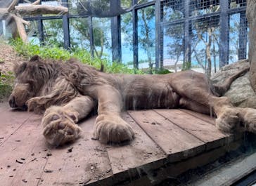 沖縄こどもの国に投稿された画像（2025/6/10）