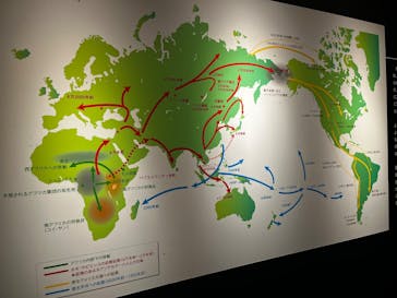 特別展「古代DNA－日本人のきた道」（国立科学博物館）に投稿された画像（2025/6/10）