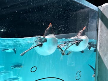 AOAO SAPPOROに投稿された画像（2025/6/10）