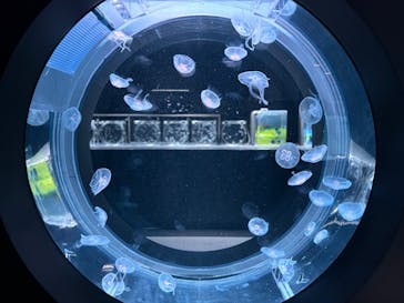 AOAO SAPPOROに投稿された画像（2025/6/10）