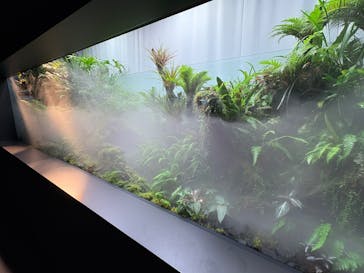 AOAO SAPPOROに投稿された画像（2025/6/10）