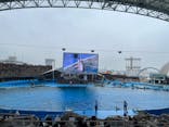 名古屋港水族館に投稿された画像（2025/6/10）