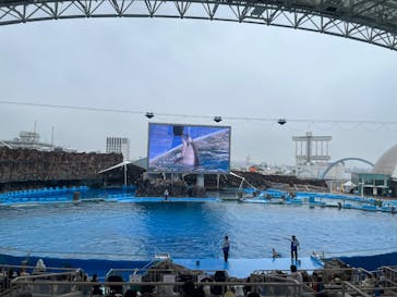 名古屋港水族館に投稿された画像（2025/6/10）