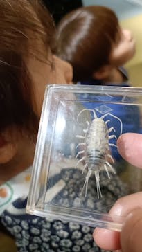 葛西臨海水族園に投稿された画像（2025/6/10）