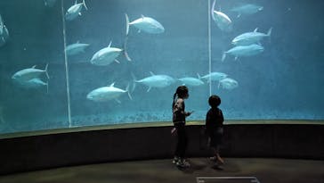 葛西臨海水族園に投稿された画像（2025/6/10）