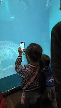 葛西臨海水族園に投稿された画像（2025/6/10）