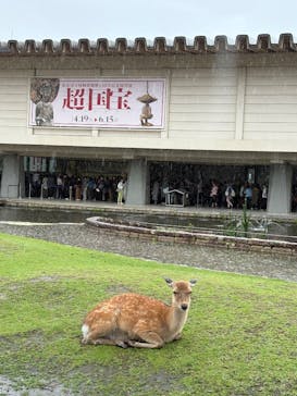 奈良国立博物館開館130年記念特別展「超 国宝―祈りのかがやきー」	に投稿された画像（2025/6/10）