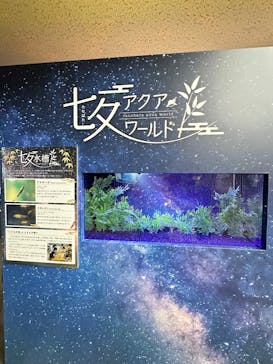 アクアワールド茨城県大洗水族館に投稿された画像（2025/6/10）