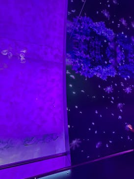 アクアワールド茨城県大洗水族館に投稿された画像（2025/6/10）