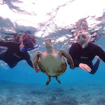 ちゃこたびに投稿された画像（2025/6/10）