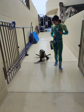 新江ノ島水族館に投稿された画像（2025/6/10）