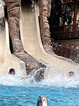 東京サマーランドに投稿された画像（2025/6/10）