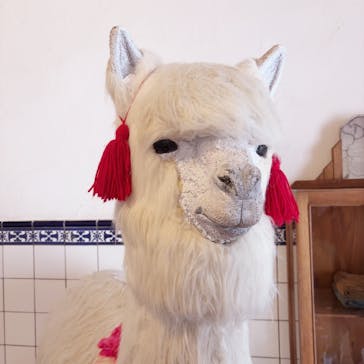 野外民族博物館 リトルワールドに投稿された画像（2025/6/10）