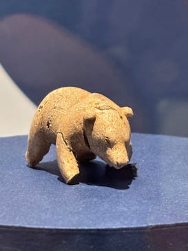 特別展「古代DNA－日本人のきた道」（国立科学博物館）に投稿された画像（2025/6/10）