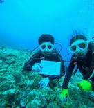 青の洞窟専門店　沖縄ダイビングショップ和に投稿された画像（2025/6/10）