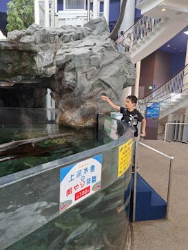 アクアワールド茨城県大洗水族館に投稿された画像（2025/6/10）