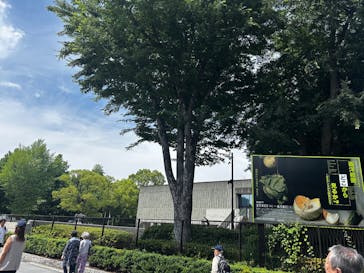 西洋絵画、どこから見るか？―ルネサンスから印象派まで　サンディエゴ美術館 vs 国立西洋美術館に投稿された画像（2025/6/10）