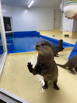越前松島水族館に投稿された画像（2025/6/10）