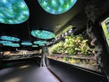 サンシャイン水族館に投稿された画像（2025/6/10）