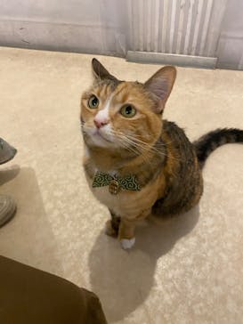 ナンジャタウンに投稿された画像（2025/6/10）