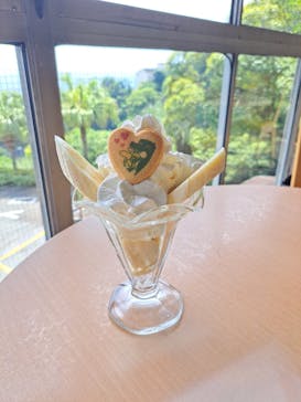 熱川バナナワニ園に投稿された画像（2025/6/10）