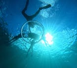 青の洞窟専門店　沖縄ダイビングショップ和に投稿された画像（2025/6/10）