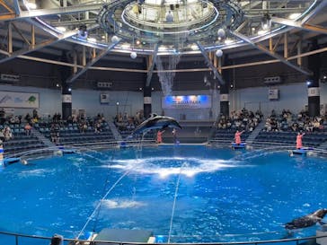 マクセル アクアパーク品川に投稿された画像（2025/6/10）