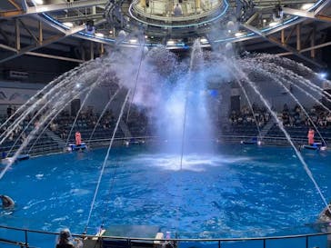 マクセル アクアパーク品川に投稿された画像（2025/6/10）