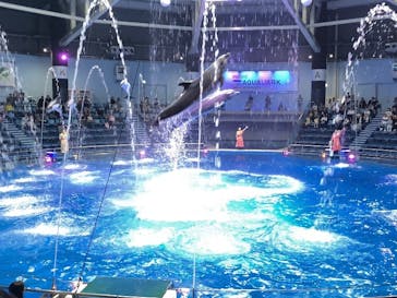 マクセル アクアパーク品川に投稿された画像（2025/6/10）