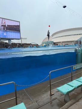 名古屋港水族館に投稿された画像（2025/6/10）