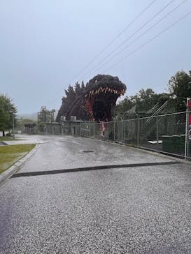 ニジゲンノモリに投稿された画像（2025/6/10）