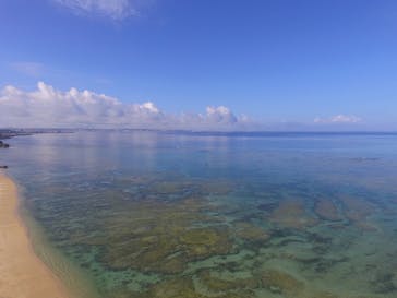 B-nature（ビーネイチャー）に投稿された画像（2025/6/11）