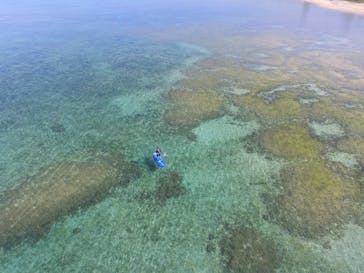 B-nature（ビーネイチャー）に投稿された画像（2025/6/11）