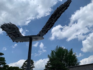 元離宮二条城に投稿された画像（2025/6/11）