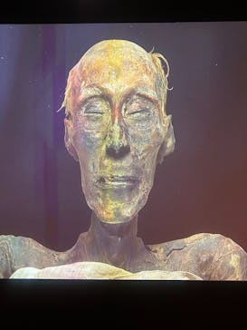 ACN ラムセス大王展 ファラオたちの黄金に投稿された画像（2025/6/11）