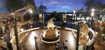 福井県立恐竜博物館に投稿された画像（2025/6/11）