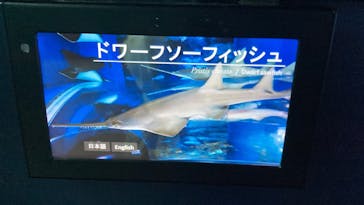 マクセル アクアパーク品川に投稿された画像（2025/6/11）