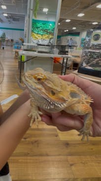 いきもの探検隊湘南に投稿された画像（2025/6/11）