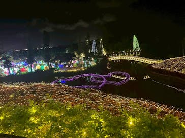 美らヤシパークオキナワ・東南植物楽園に投稿された画像（2025/6/11）