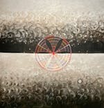 ヒルマ・アフ・クリント展（東京国立近代美術館）に投稿された画像（2025/6/11）