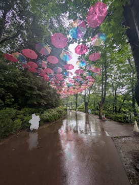 ムーミンバレーパークに投稿された画像（2025/6/11）