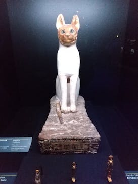 ACN ラムセス大王展 ファラオたちの黄金に投稿された画像（2025/6/11）