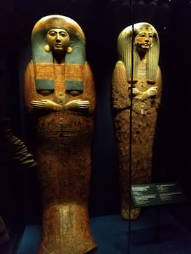 ACN ラムセス大王展 ファラオたちの黄金に投稿された画像（2025/6/11）